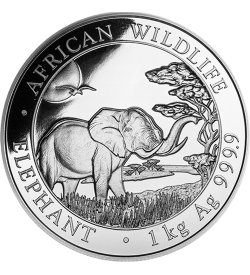 1 kg Somalia Elephant 2019 African Wildlife
